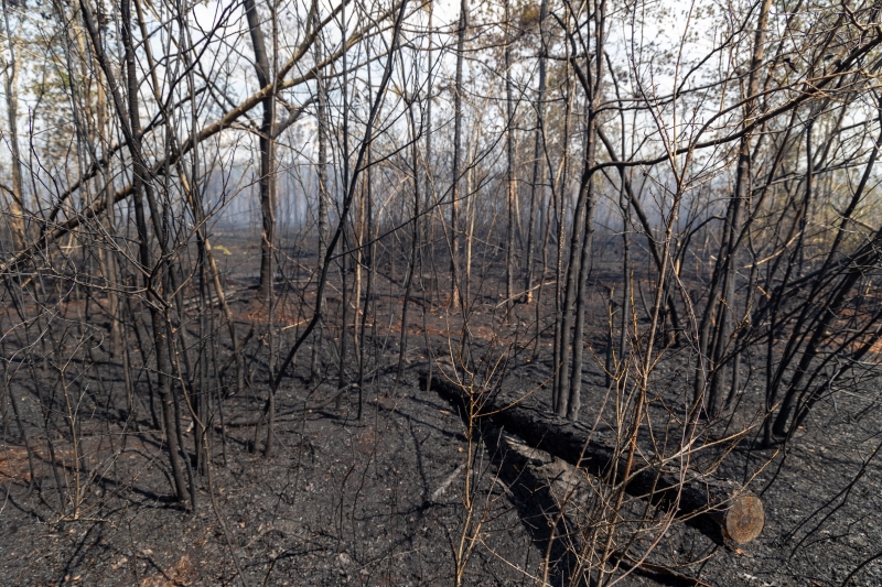 Woods fire