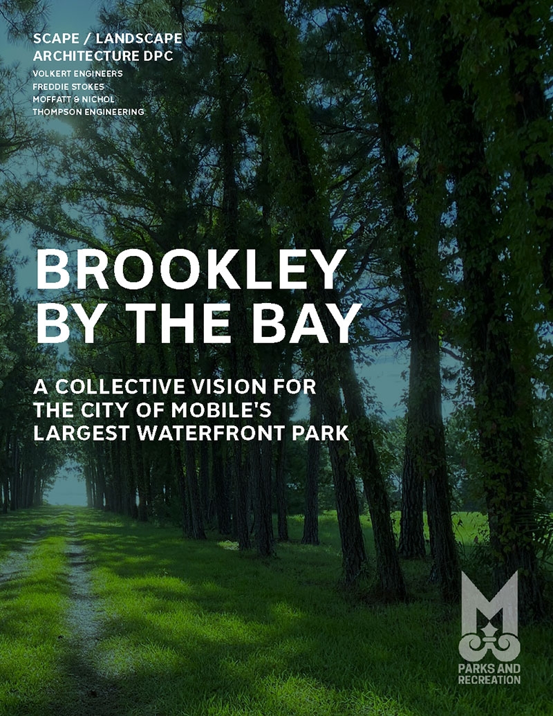 Thumbnail of Overview PDF