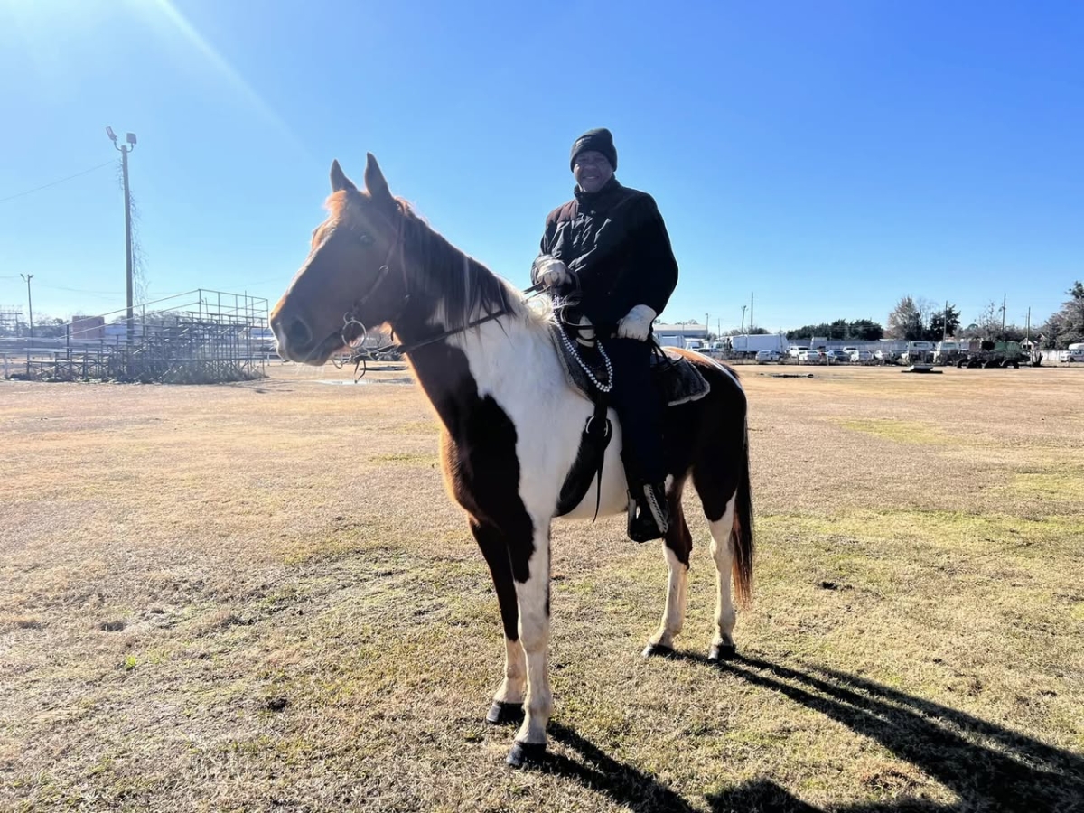 Horse Rider