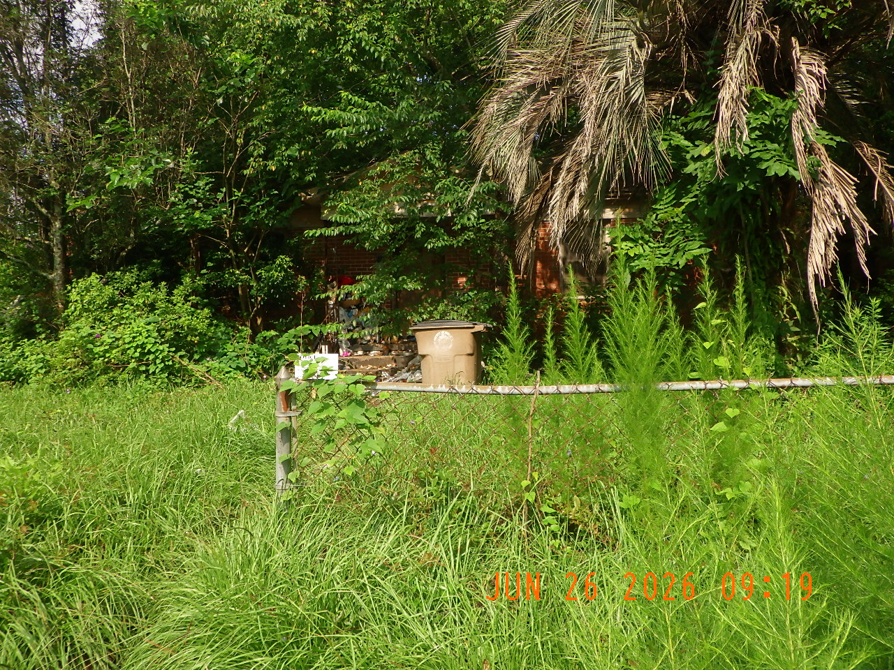 619 Summerville St. Nuisance Photo